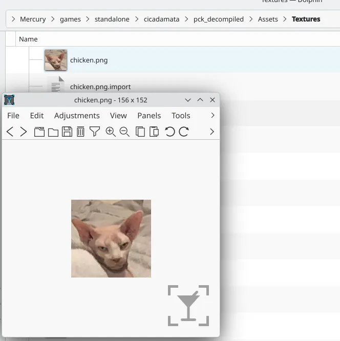 A photo of a hairless cat named "chicken.png"