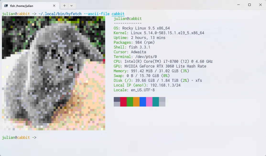 Output of hyfetch in Windows Terminal, with a custom cabbit logo