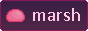 marsh